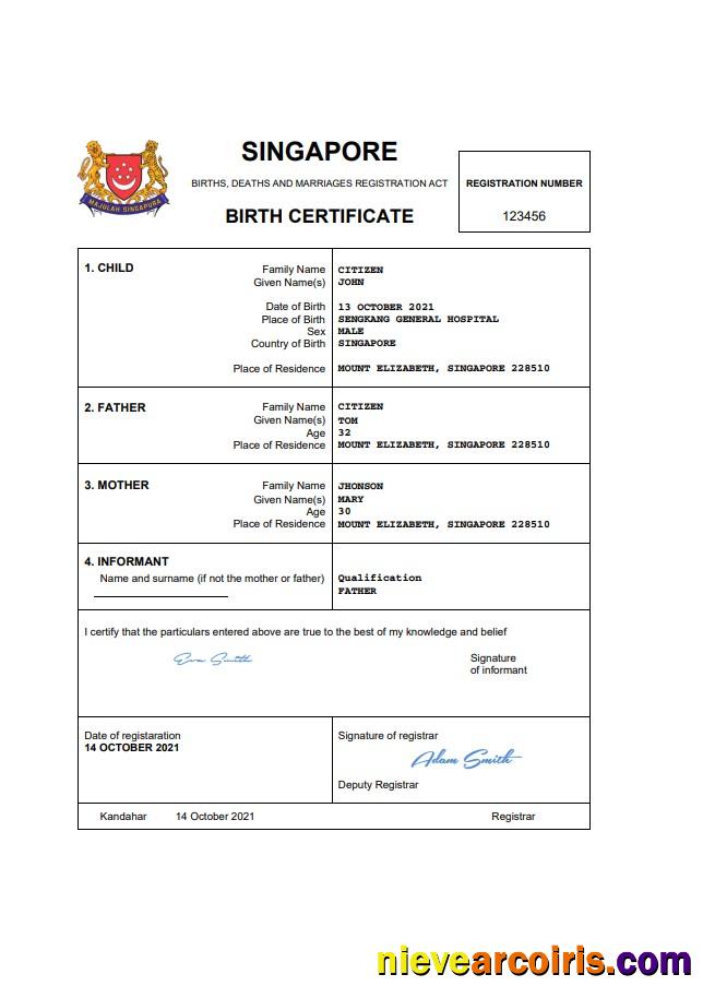 Singapore vital record birth certificate